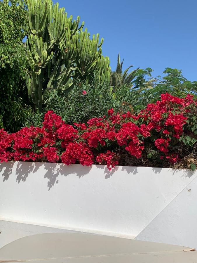 Lovely Villa Nico Playa Blanca, Hot Tub, Communal Pool المظهر الخارجي الصورة